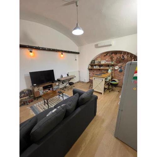 1 bedroom apartment in historic center