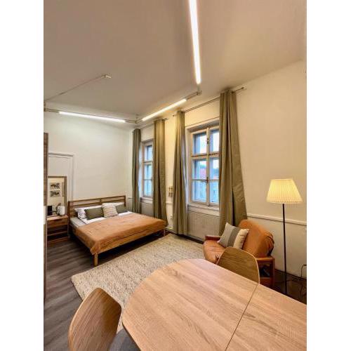 1 bedroom studio close to Palmovka