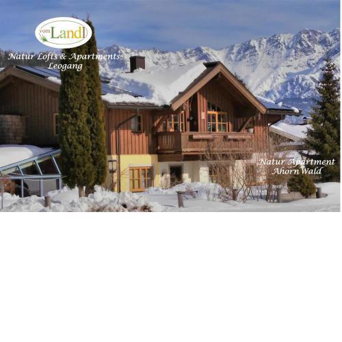 103 m2 Apartment EschenWald vomLandl Leogang