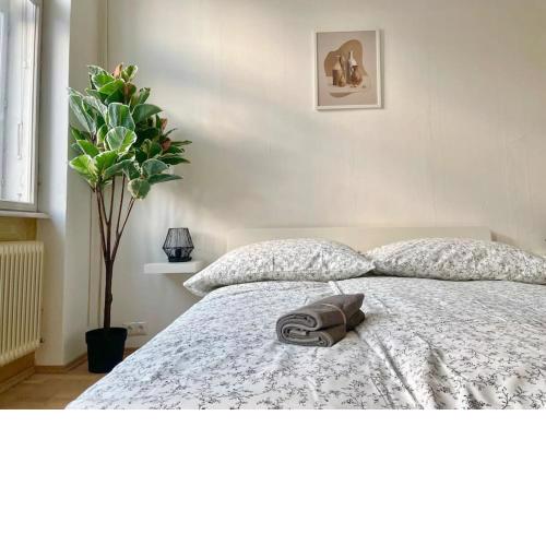 110 m2 Sunny & Central Apartment