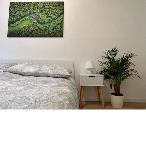 90m2 - Balcony - Central