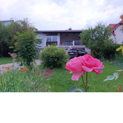 A place to be - Ruhelage mit gratis Parkplatz