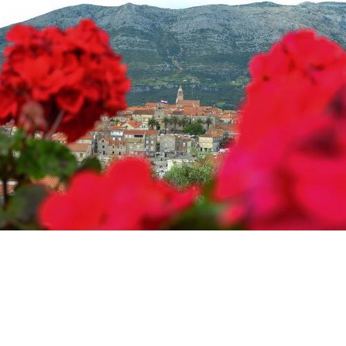 Accommodation Drasko