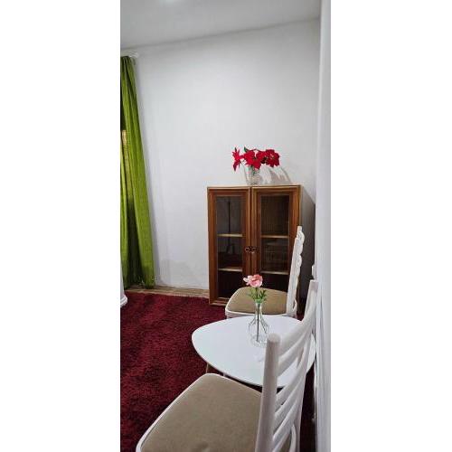 AG Euro Apartments