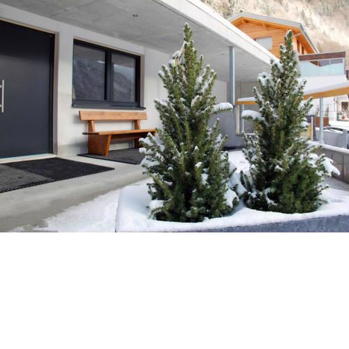 Allmi Appartement