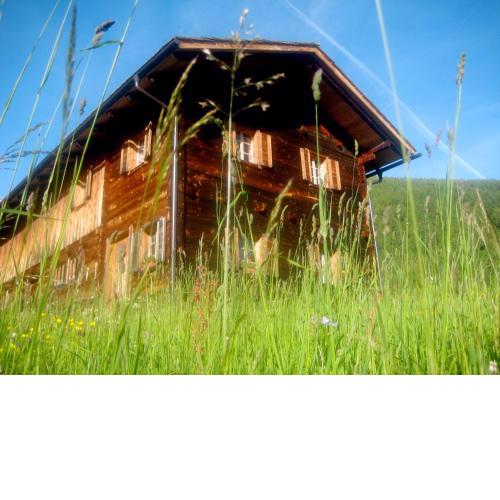 Almhütte Gorgasser