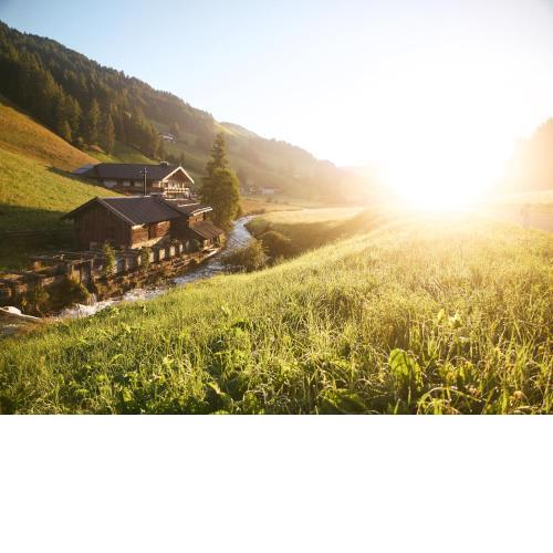 Almi's Berghotel
