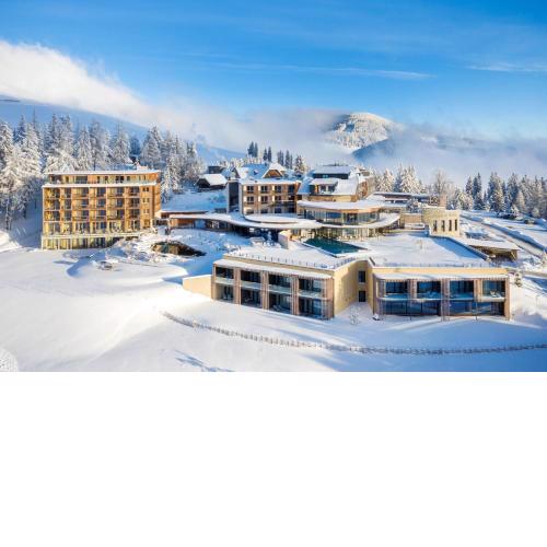 Almwellness Hotel Pierer