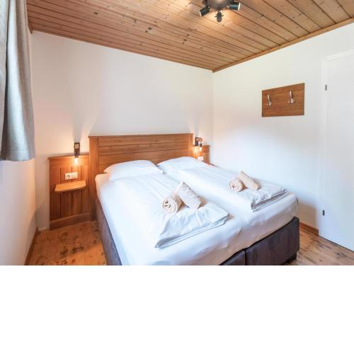 Alpensteinbock Saalbach D