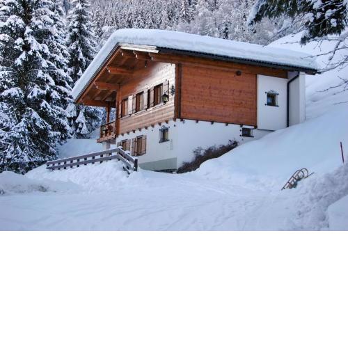 Alpenstern