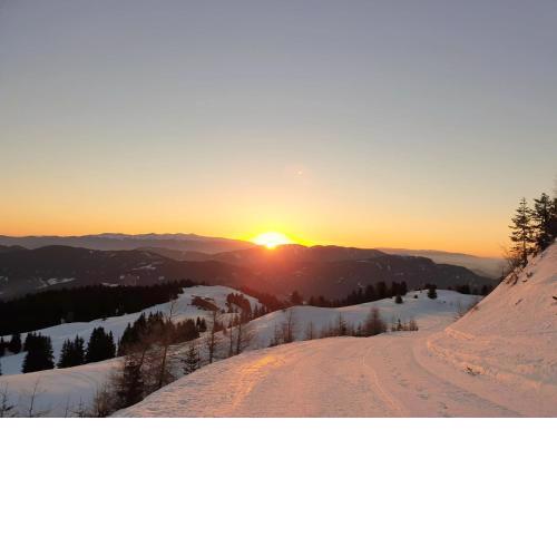 Alpine hut in St Lorenzen ob Murau, Styria