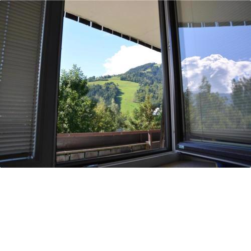 Alpine Lodge Apartment
