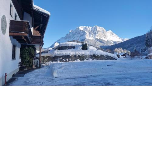 Alpinum Hostel