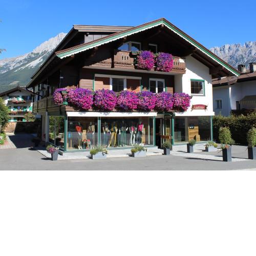 Alpking Hostel