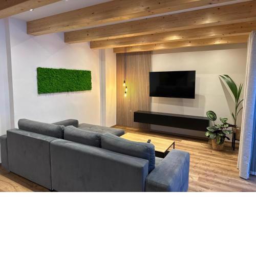 AlpLofts Apartment Top2