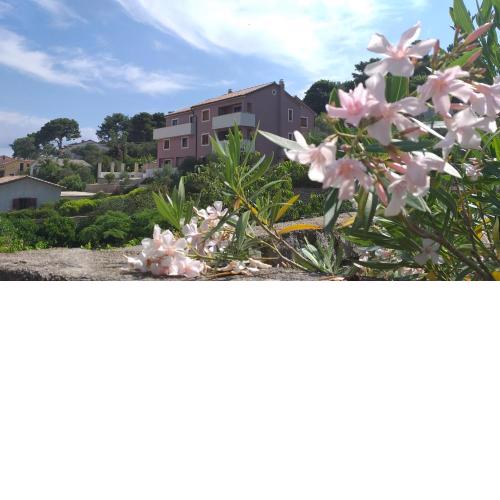 Amaryllis residence, apartment Diana & Deluxe rooms with shared kitchen