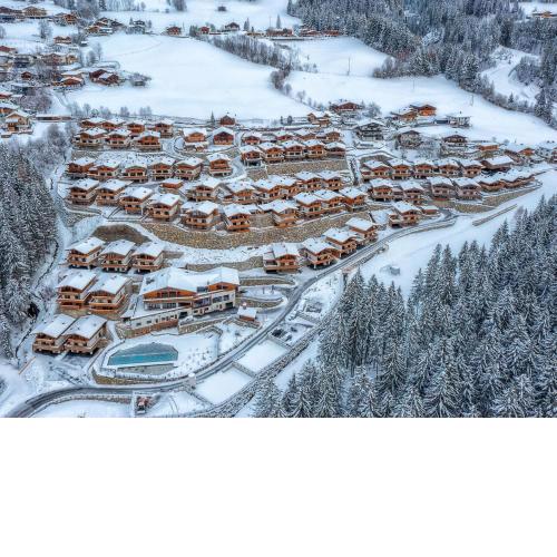 Amazing Chalet near Wildkogel Ski Arena