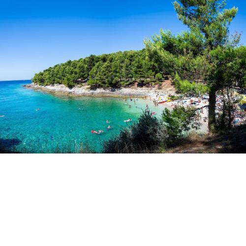 Amazing luxury apartment 200 m from the beach