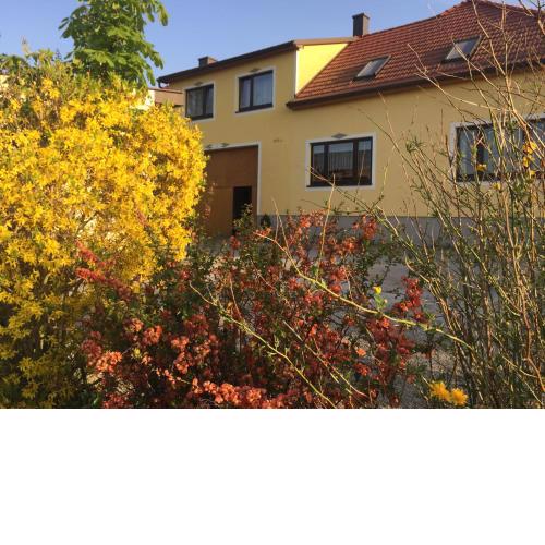 Amstetter’s Ferienwohnung