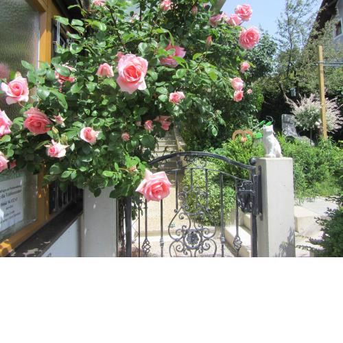 Anna's Home - Ferienwohnungen