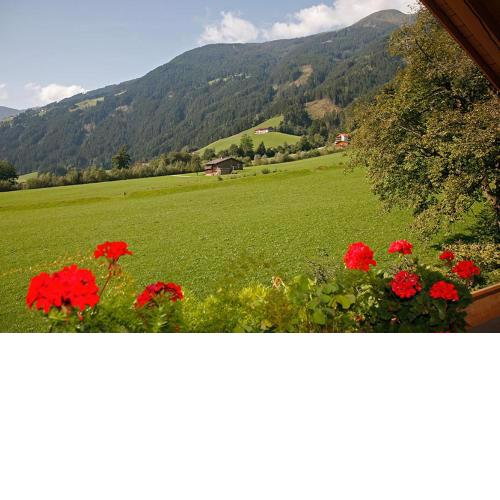 Apart Alpensonne Zillertal