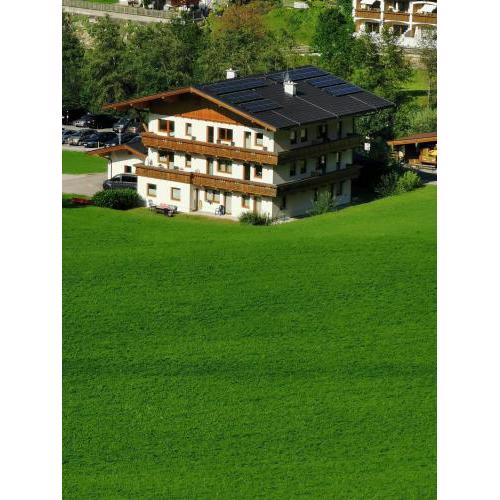 Apart Geisler