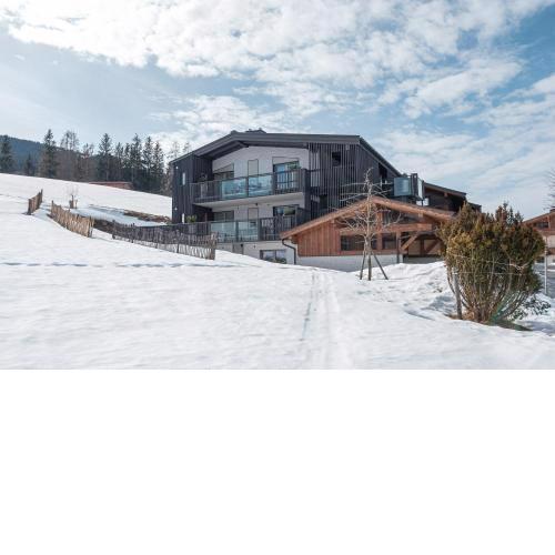 APART HERZOG - URBAN LUXURY LIFESTYLE direct at Steinbergpiste and Steinbergbahn