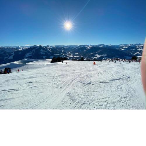 Apart Zireiner See