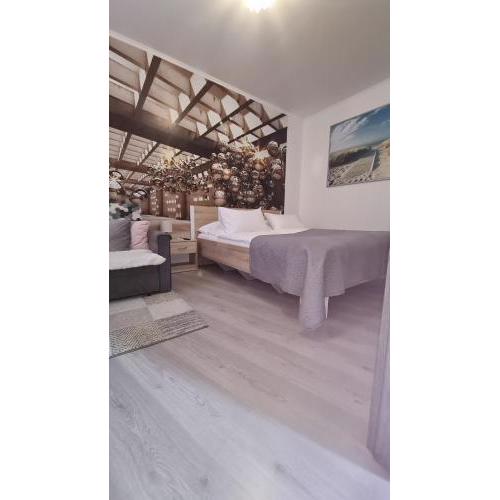 Apartament Olomouc NEW1