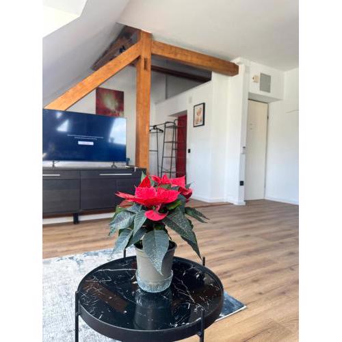 Apartament Salzburg mit Untersberg Ausblick