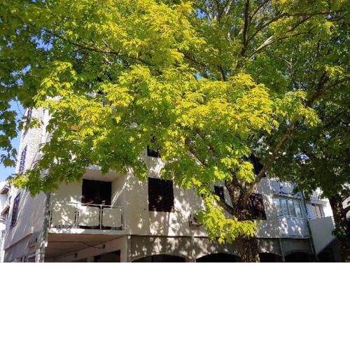 Apartma Park Učka