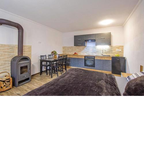 apartmán 1kk Zlámanka