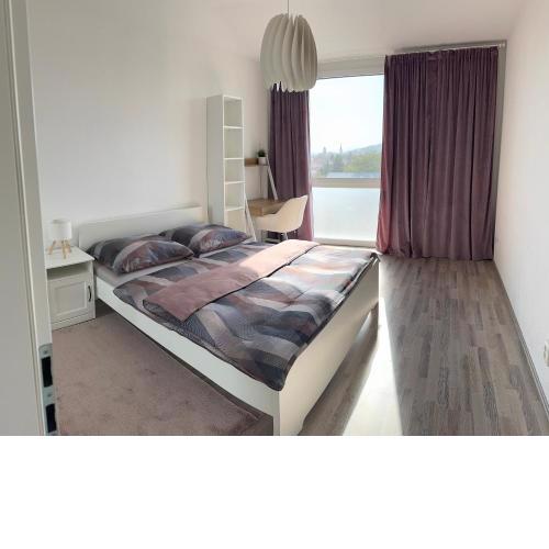 Apartmán 365