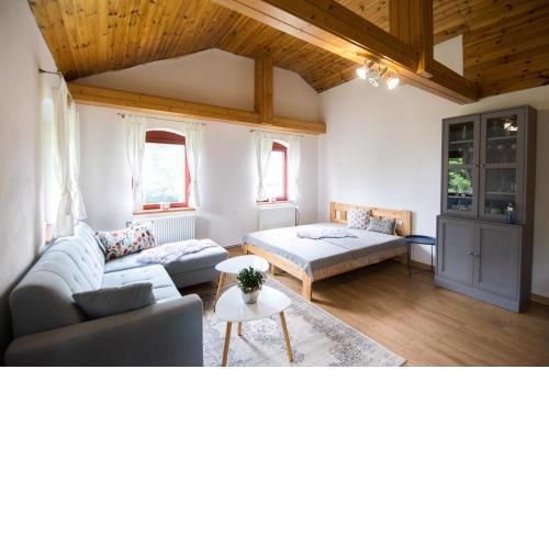 Apartmán Albert v Spa dedinke