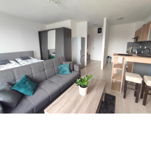 Apartmán Alžbetka