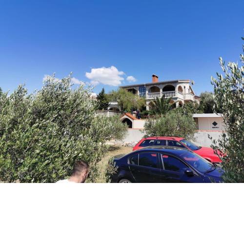 Apartman Ankica