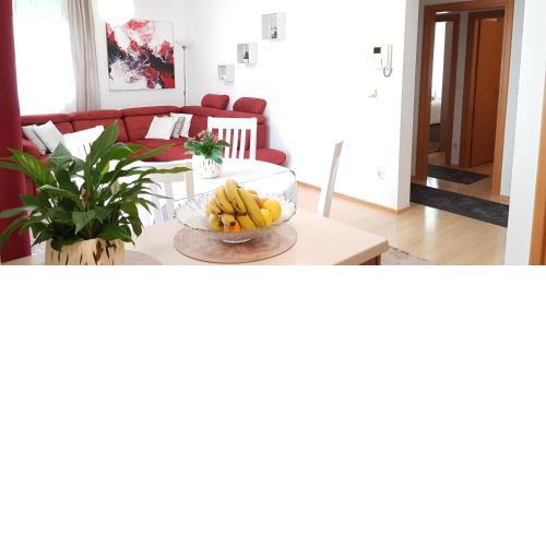 Apartman ARINA