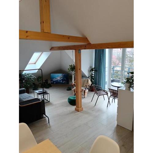 Apartman Barbara
