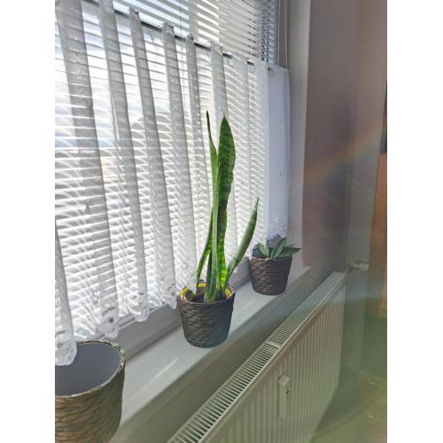 Apartmán blízko centra