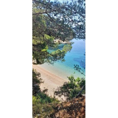 Apartman Bonkovic