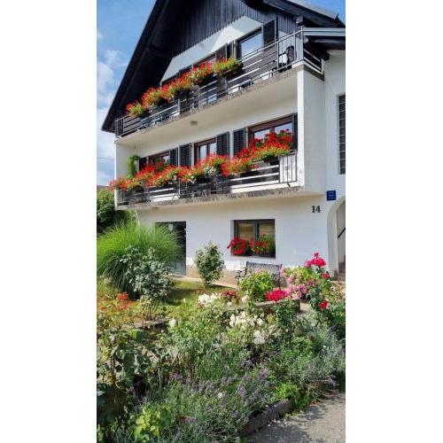 Apartman Bosco