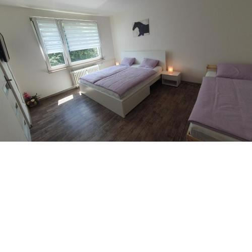 Apartmán Broumov