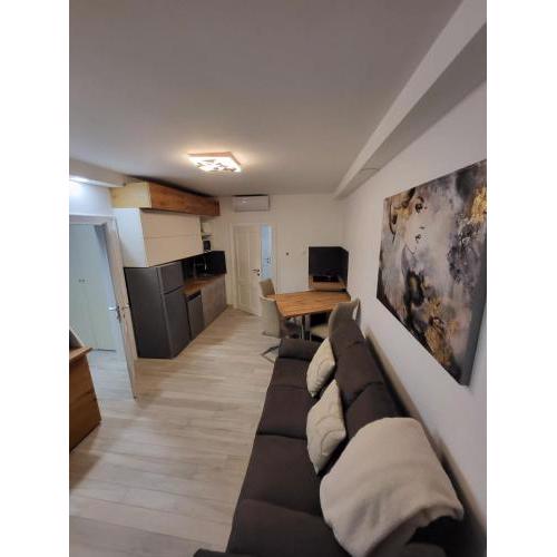 Apartman Bužanova II