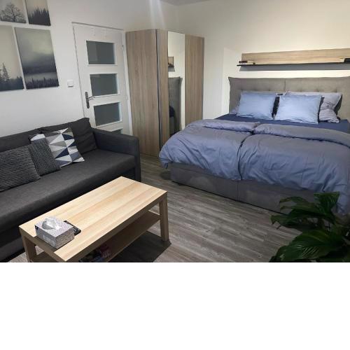 Apartmán č. 19