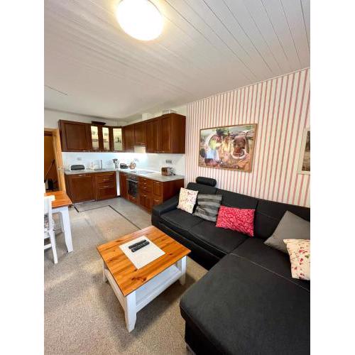 Apartmán C01 Poustevník