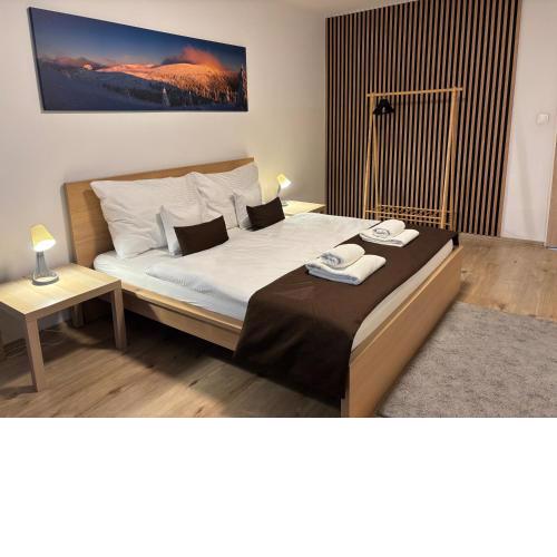 Apartmán Centrum Komfort