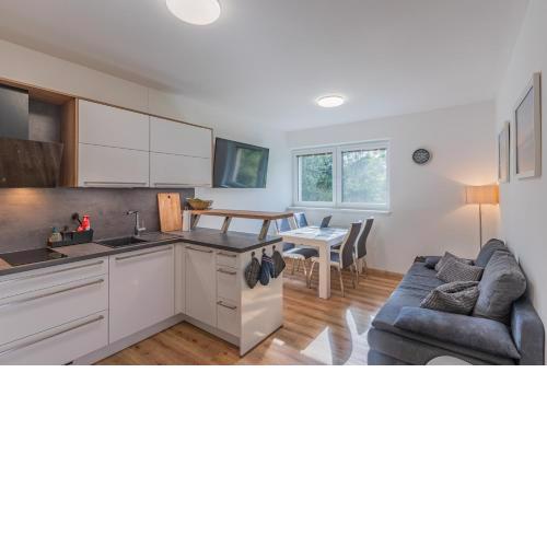Apartmán Černá v Pošumaví