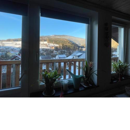 Apartmán Čížci Horní Maršov
