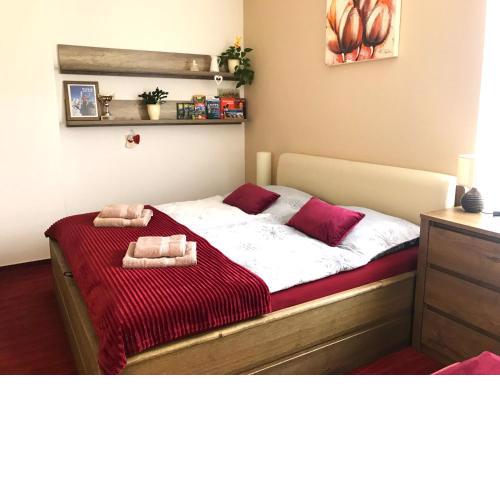 Apartmán Crocus 313