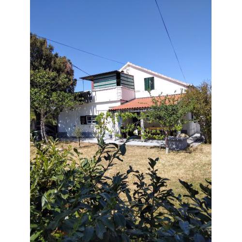 Apartman Ćuška